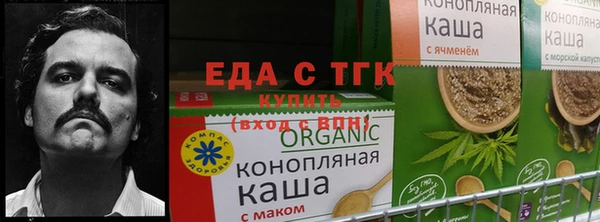 мяу мяу мука Белокуриха