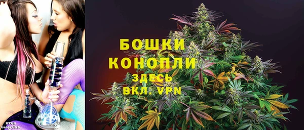 мяу мяу мука Белокуриха