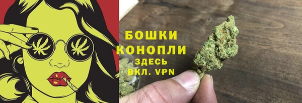 мяу мяу мука Белокуриха