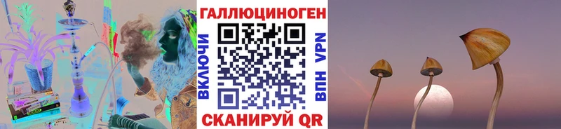Галлюциногенные грибы Psilocybine cubensis  Тюкалинск 